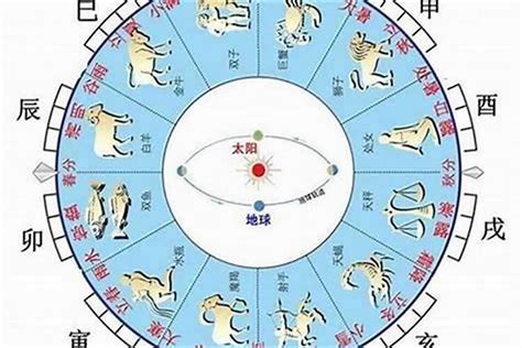 水豬命格|【豬五行】屬豬五行解密：看懂生肖豬的五行屬性，助你趨吉避兇。